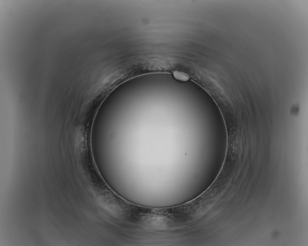 X0000096720743200802121248