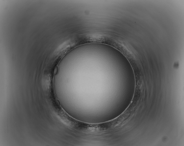 X0000096720744200802121248