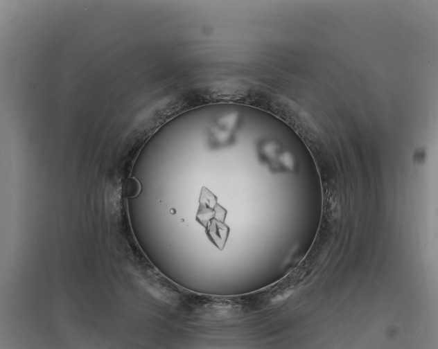 X0000096720745200802121248