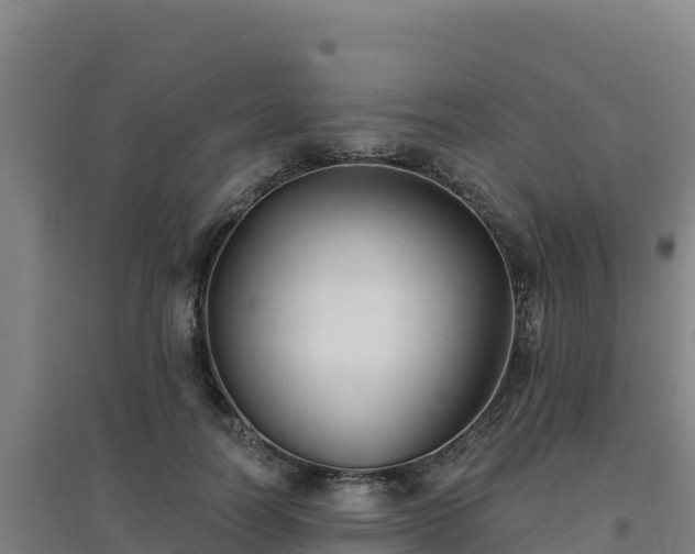 X0000096720746200802121248