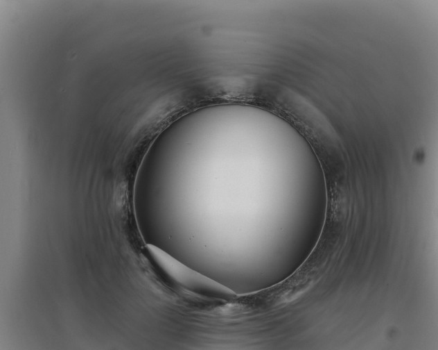 X0000096720748200802121248