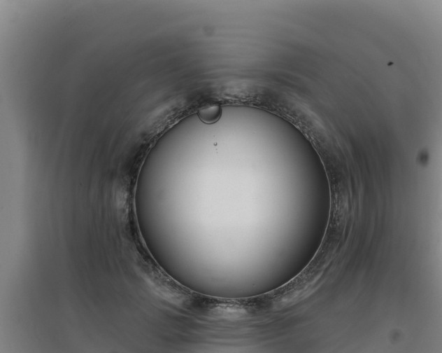 X0000096720749200802121248