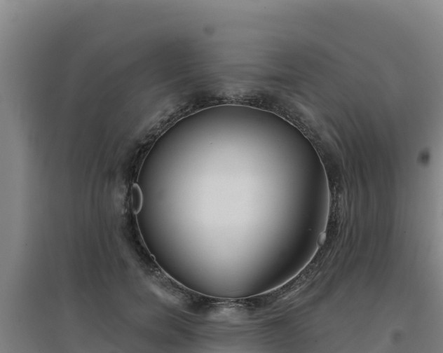 X0000096720750200802121248
