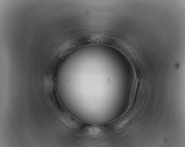 X0000096720751200802121248