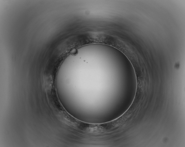 X0000096720752200802121248