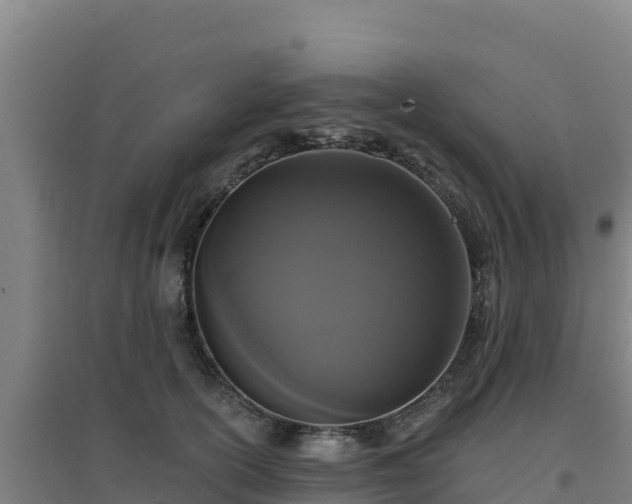 X0000096720754200802121248