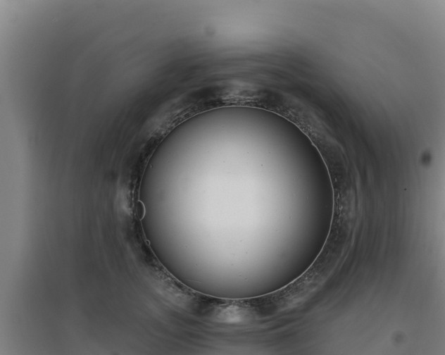 X0000096720755200802121248