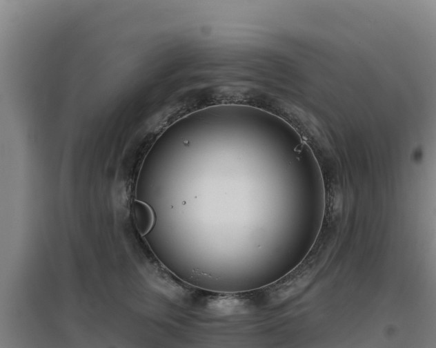 X0000096720759200802121248