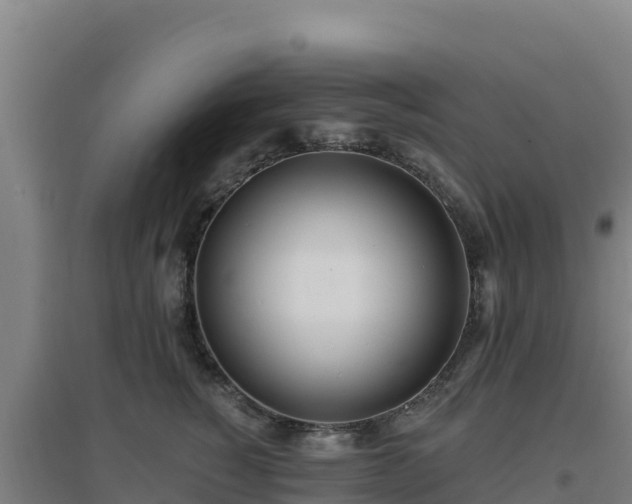 X0000096720760200802121248