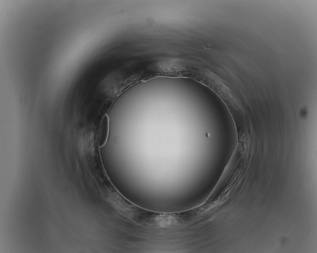 X0000096720762200802121248