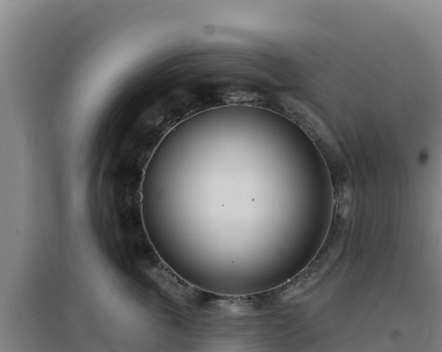 X0000096720763200802121248
