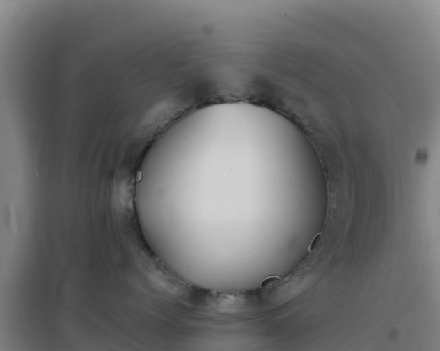 X0000096720768200802121248
