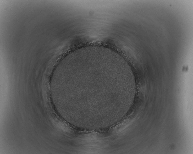 X0000096720769200802121247