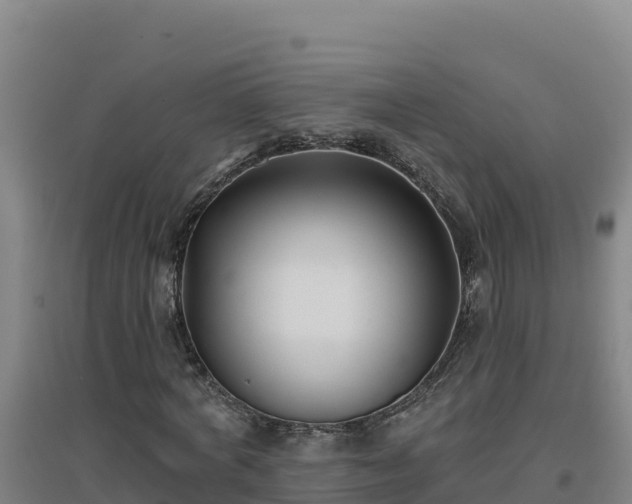 X0000096720772200802121247