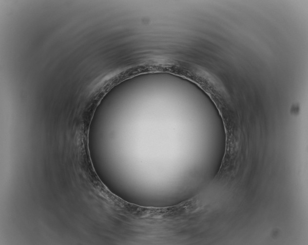 X0000096720773200802121247