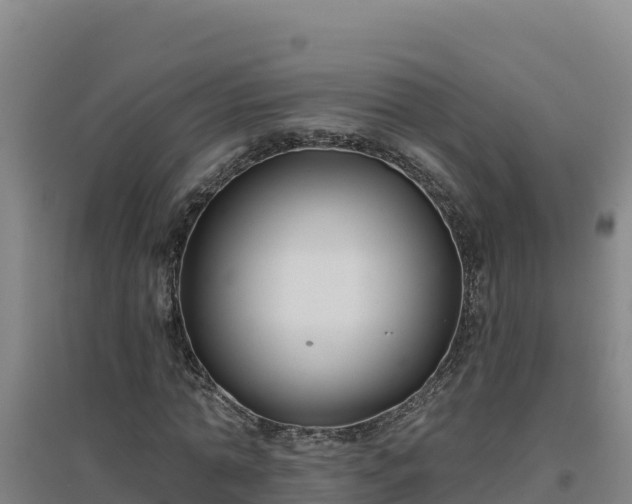 X0000096720774200802121247