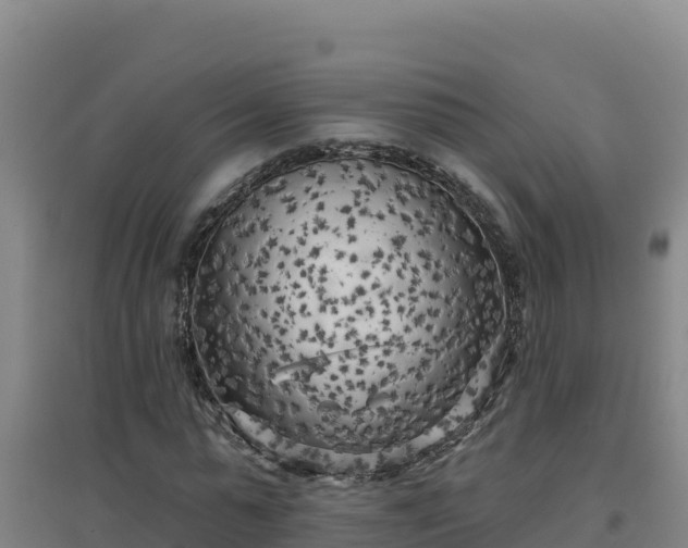 X0000096720775200802121247