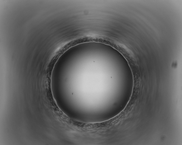X0000096720776200802121247