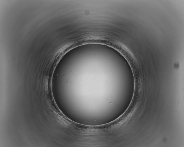 X0000096720777200802121247