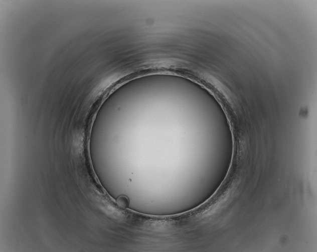 X0000096720778200802121247