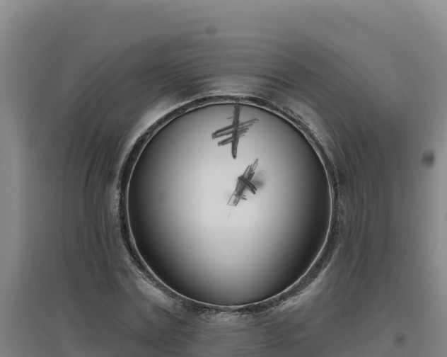 X0000096720779200802121247