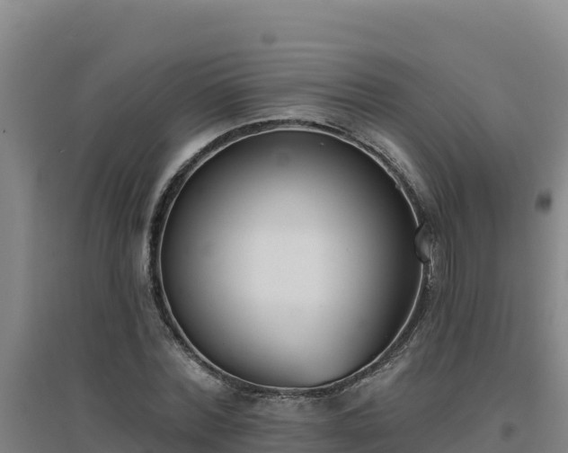 X0000096720780200802121247