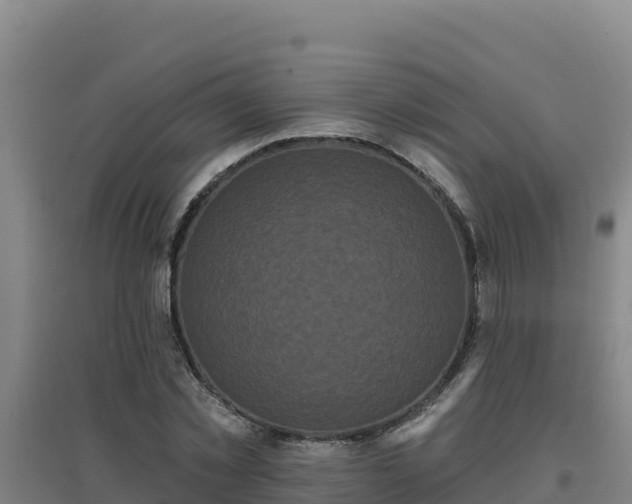 X0000096720781200802121247