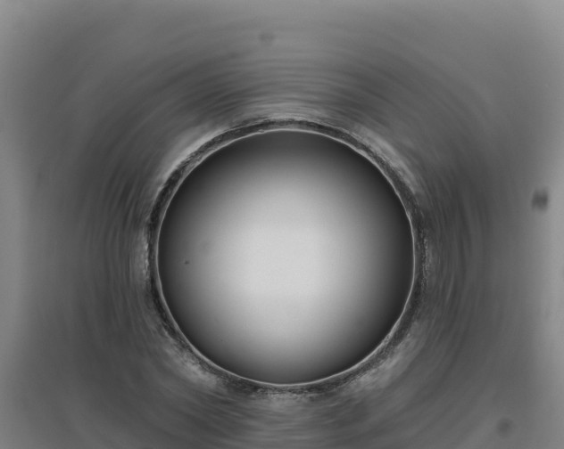 X0000096720782200802121247