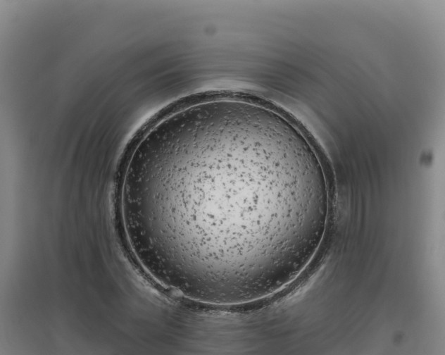 X0000096720783200802121247