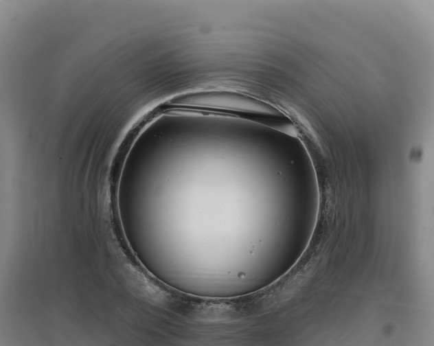 X0000096720784200802121247