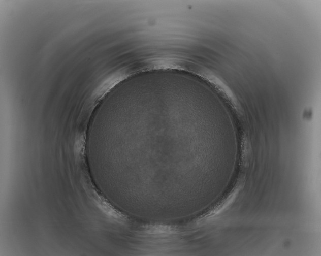 X0000096720785200802121247