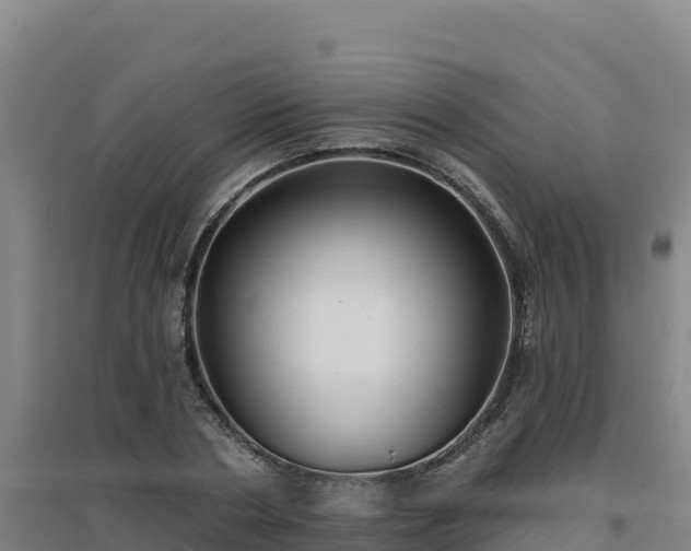 X0000096720786200802121247