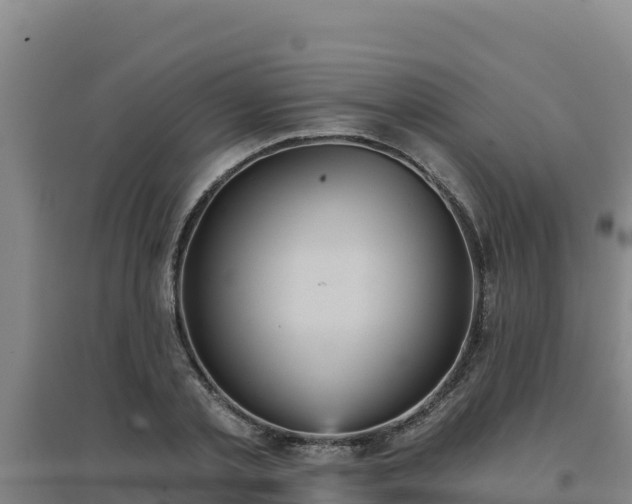 X0000096720789200802121247