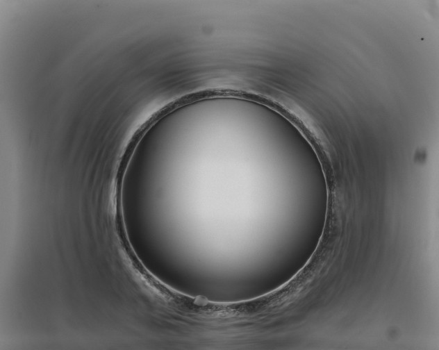 X0000096720791200802121247