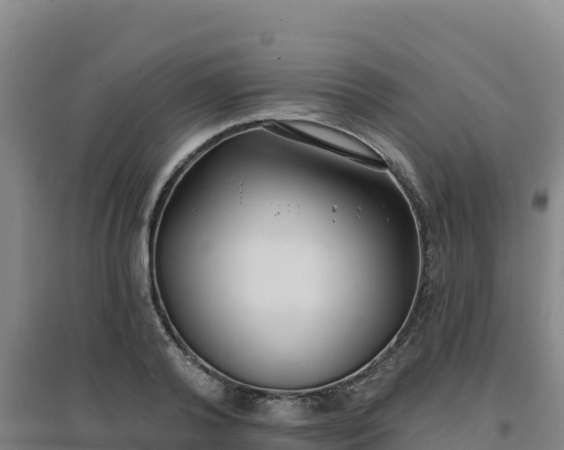 X0000096720792200802121247