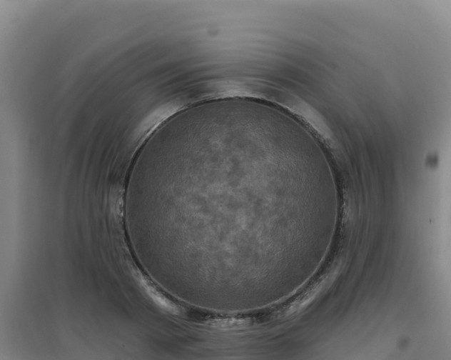 X0000096720793200802121247