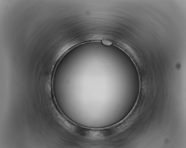 X0000096720794200802121247