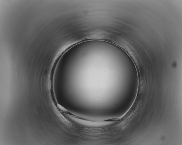 X0000096720795200802121247