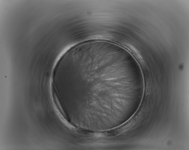 X0000096720796200802121247