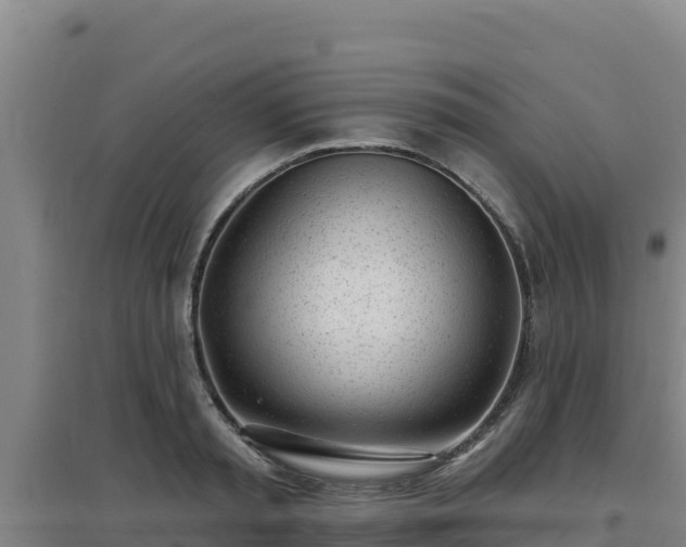 X0000096720797200802121247