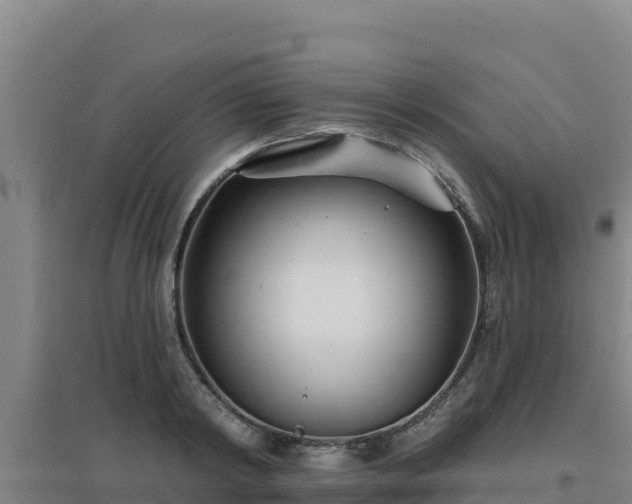 X0000096720798200802121247