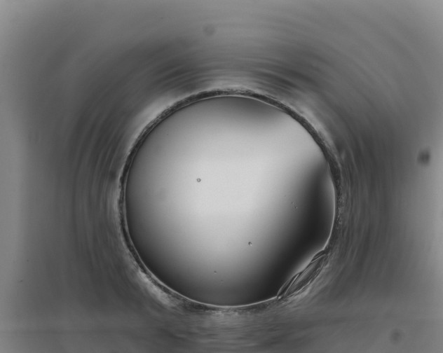 X0000096720799200802121247