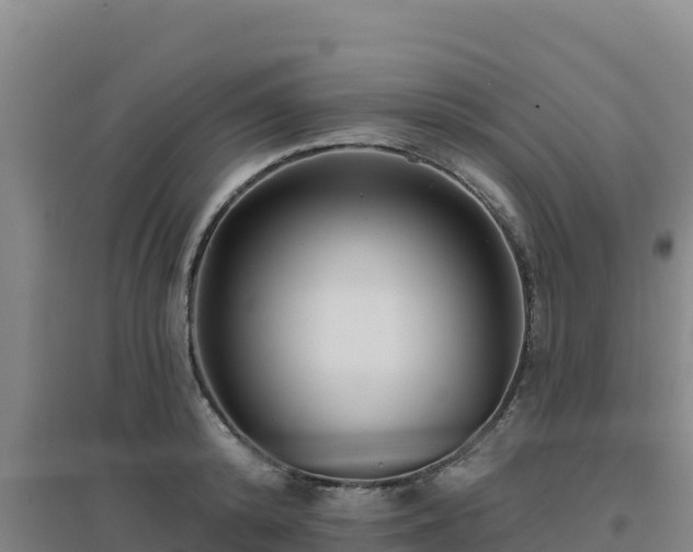 X0000096720800200802121247
