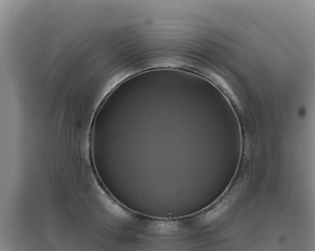 X0000096720802200802121247