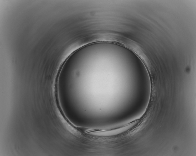 X0000096720803200802121247