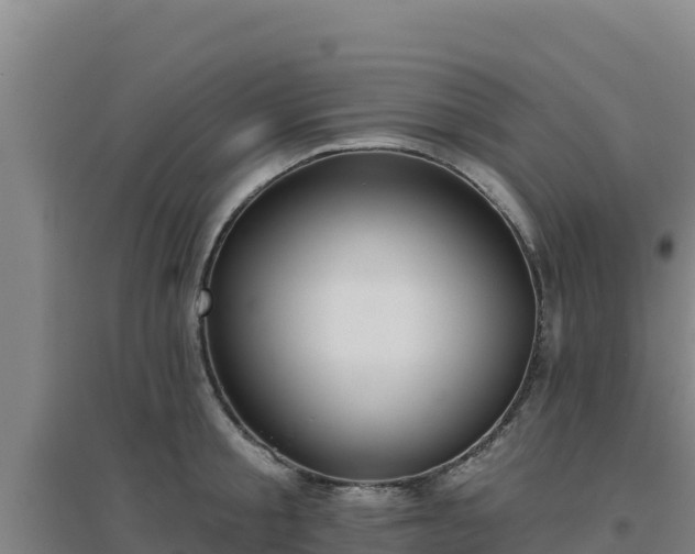 X0000096720805200802121247