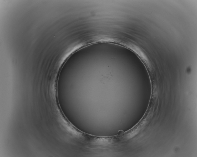 X0000096720806200802121247
