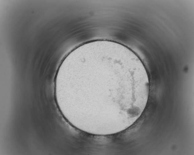 X0000096720807200802121247