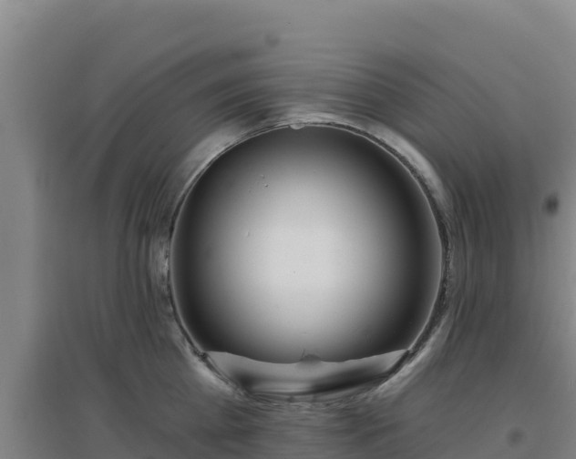 X0000096720809200802121247