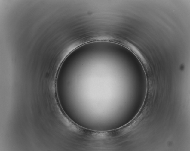 X0000096720810200802121247